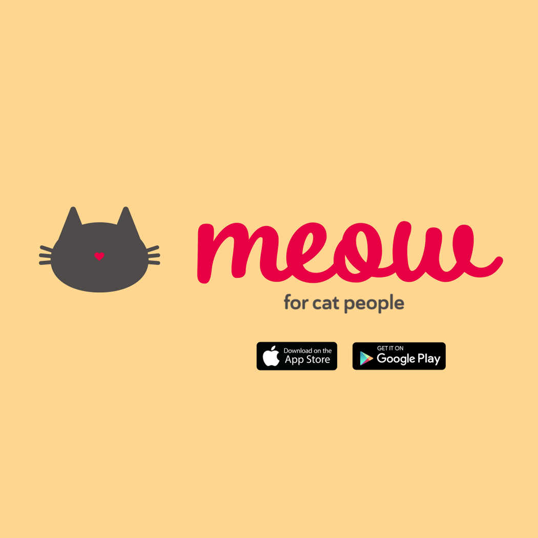 Meow app advertisement student project
